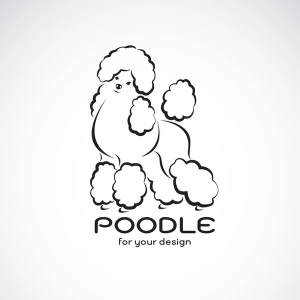 Vetor Projeto Cão Poodle Fundo Branco Animal Estimação Logotipo Cão —  Vetores de Stock