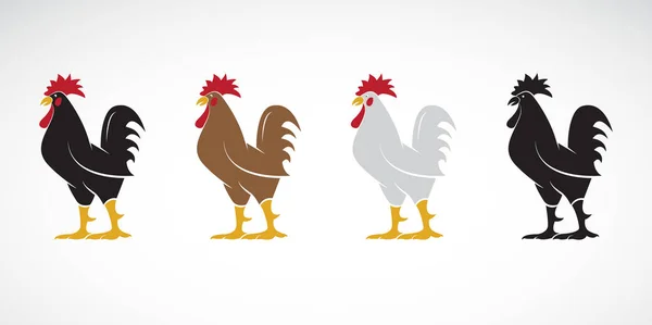 白い背景に鶏やコックデザインのベクトル 動物農場 編集しやすいレイヤーベクトルイラスト — ストックベクタ