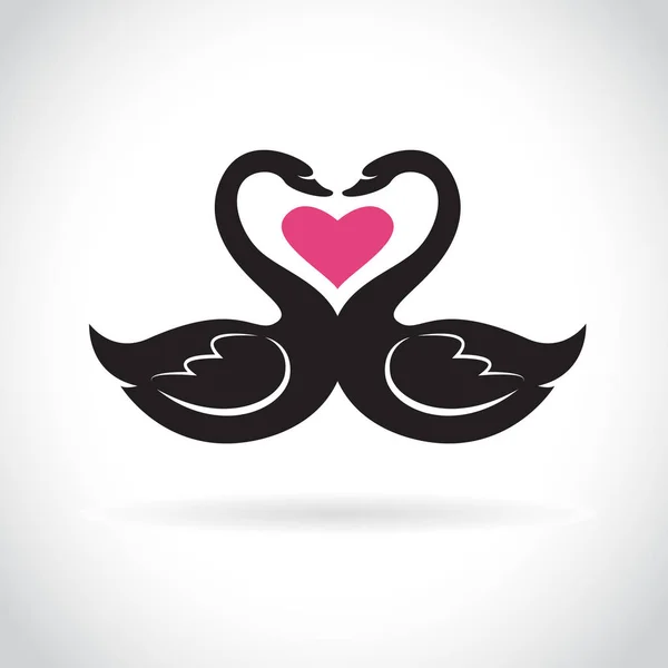 Vector Two Loving Black Swans Pink Heart White Background Wild — Stock Vector