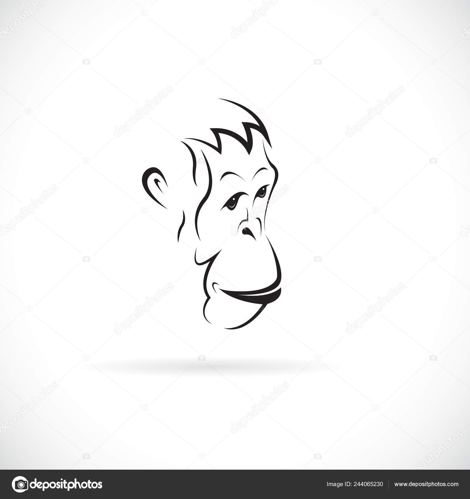 Vettoriale stockVettore Disegno Faccia Orango Sfondo Bianco Animali  Selvatici Logo Icona di ©yod67 #244065230, image size:1600x1700