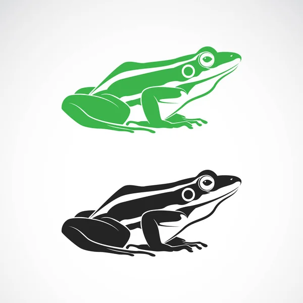 개구리와 개구리의 벡터가 배경에 있습니다 양서류 Frog Icon 또는로고 수있는 — 스톡 벡터