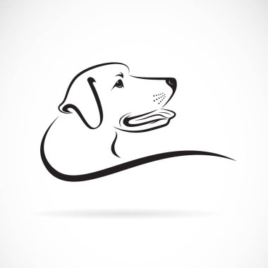 Vektör köpek kafası (Labrador) beyaz arka plan üzerinde., pet. hayvanlar.