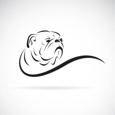 Beyaz arka planda Bulldog kafa tasarımı vektör. Pet. hayvanlar.