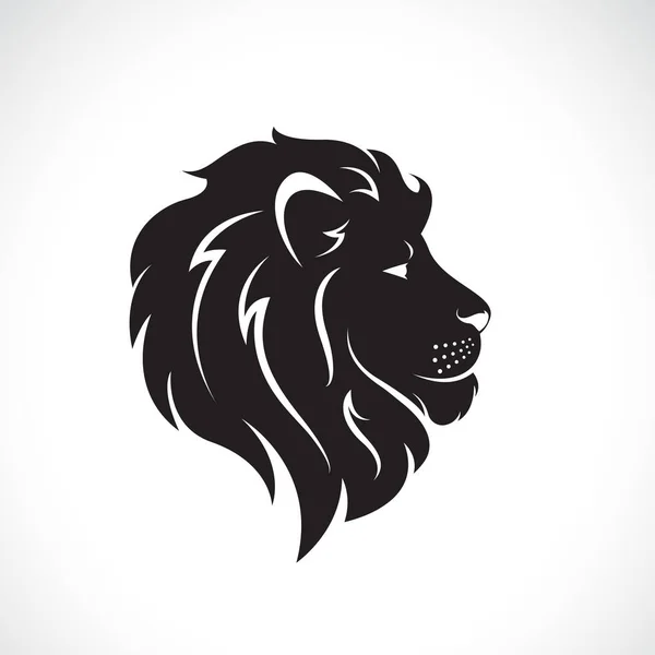 Vector of male lion head design on a white background. — Stock Vector