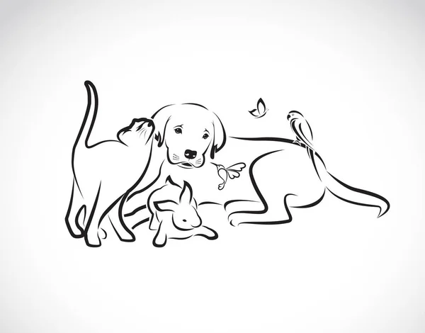 ペットのベクターグループ - 犬、猫、オウム、ウサギ、蝶、ハム — ストックベクタ