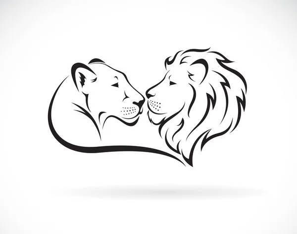 Leão macho e design de leão fêmea no fundo branco . —  Vetores de Stock