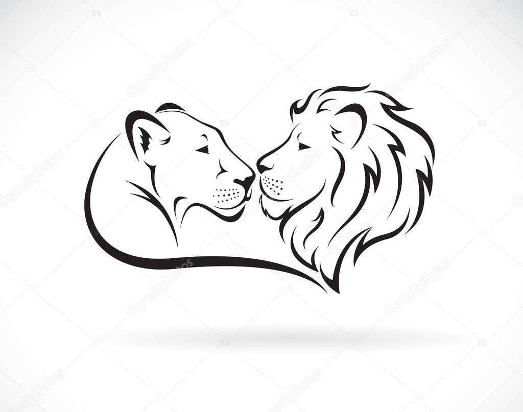 Male lion and female lion design on white background. 