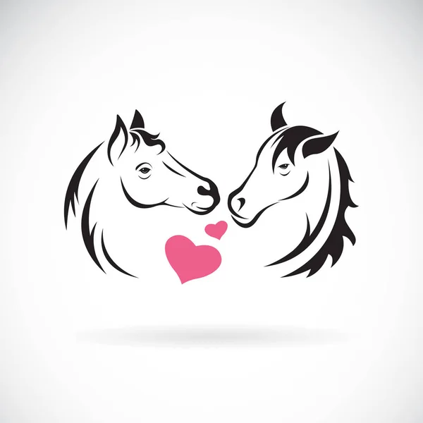 Vector de dos caballos y corazón sobre fondo blanco. Animales salvajes . — Archivo Imágenes Vectoriales