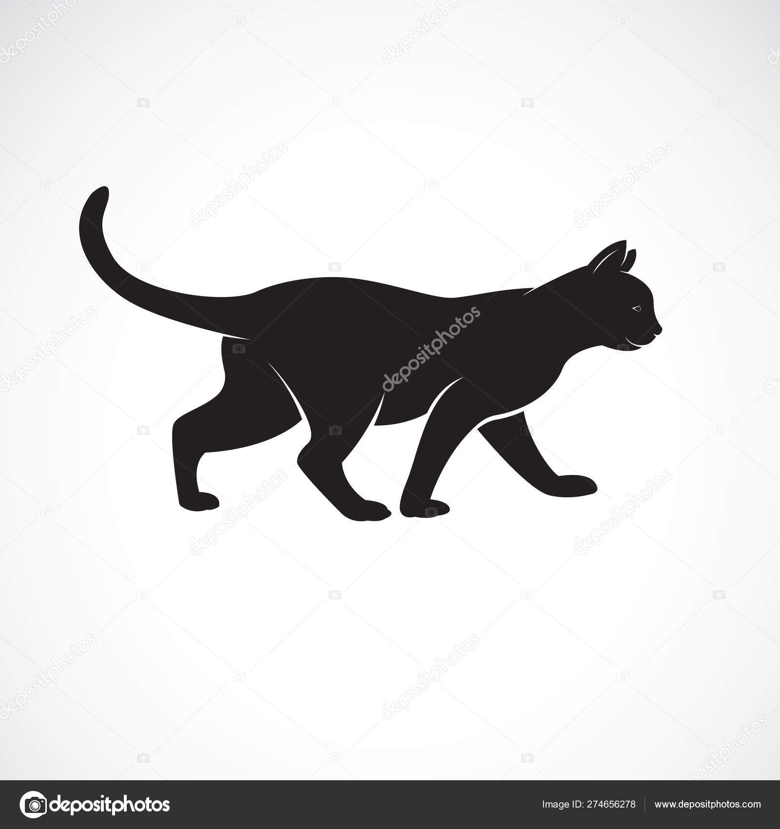 Vector Of Cat Walking On A White Background Pet Animals Stock Vector Image By C Yod67 274656278