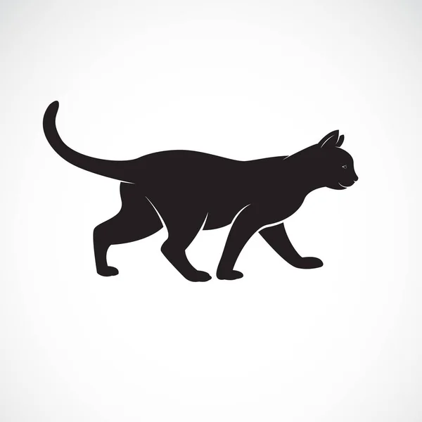 Vector de gato caminando sobre un fondo blanco. Mascota. Animales. . — Vector de stock