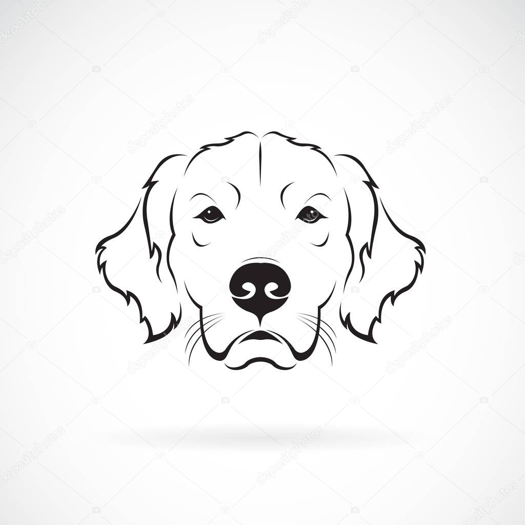 Vector of dog head (Golden Rretriever) on a white background. Pet.