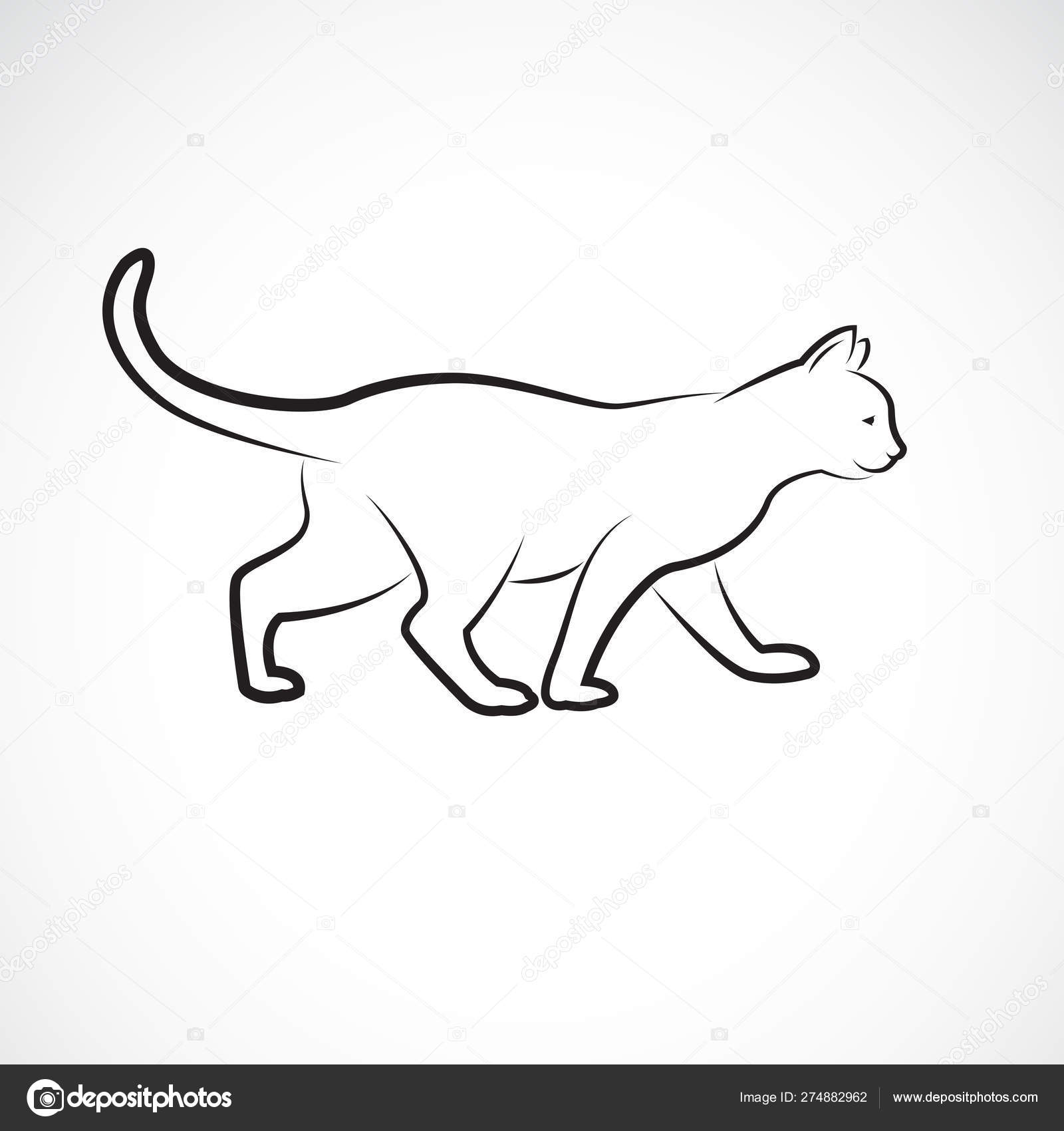 Vector of cat walking on a white background. Pet. Animals Stock Vector  Image by ©yod67 #274882962