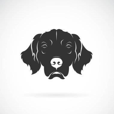 Beyaz arka plan üzerinde köpek kafası (Golden Rretriever) vektörü. Pet.