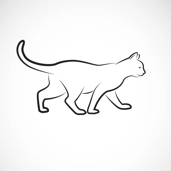 Vector de gato caminando sobre un fondo blanco. Mascota. Animales. — Vector de stock