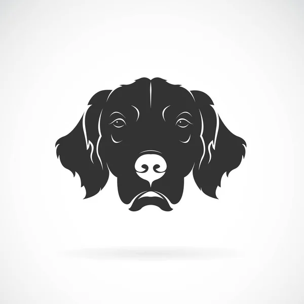 Vector de cabeza de perro (Golden Rretriever) sobre fondo blanco. Mascotas . — Archivo Imágenes Vectoriales