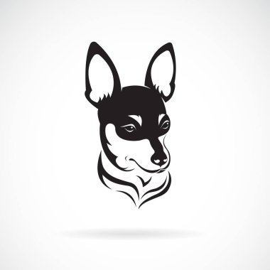 Vektör chihuahua köpek beyaz arka plan üzerinde izole. Pet. 