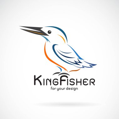 Beyaz arka plan üzerinde kingfishers kuş (Alcedo atthis) vektörü.
