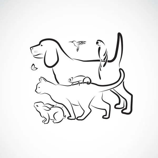 Vektorgrupp av sällskapsdjur-hund, katt, papegoja, kanin, fjäril, Humm — Stock vektor