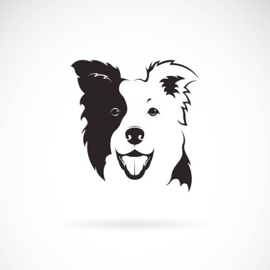Vector of a border collie dog on white background. Pet. Animal.  clipart