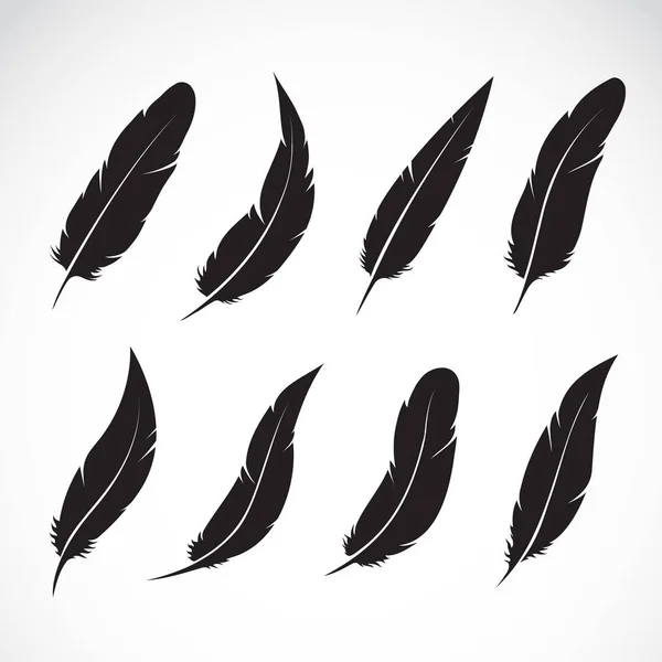 Groupe vectoriel de plumes noires sur fond blanc. Facile à modifier — Image vectorielle