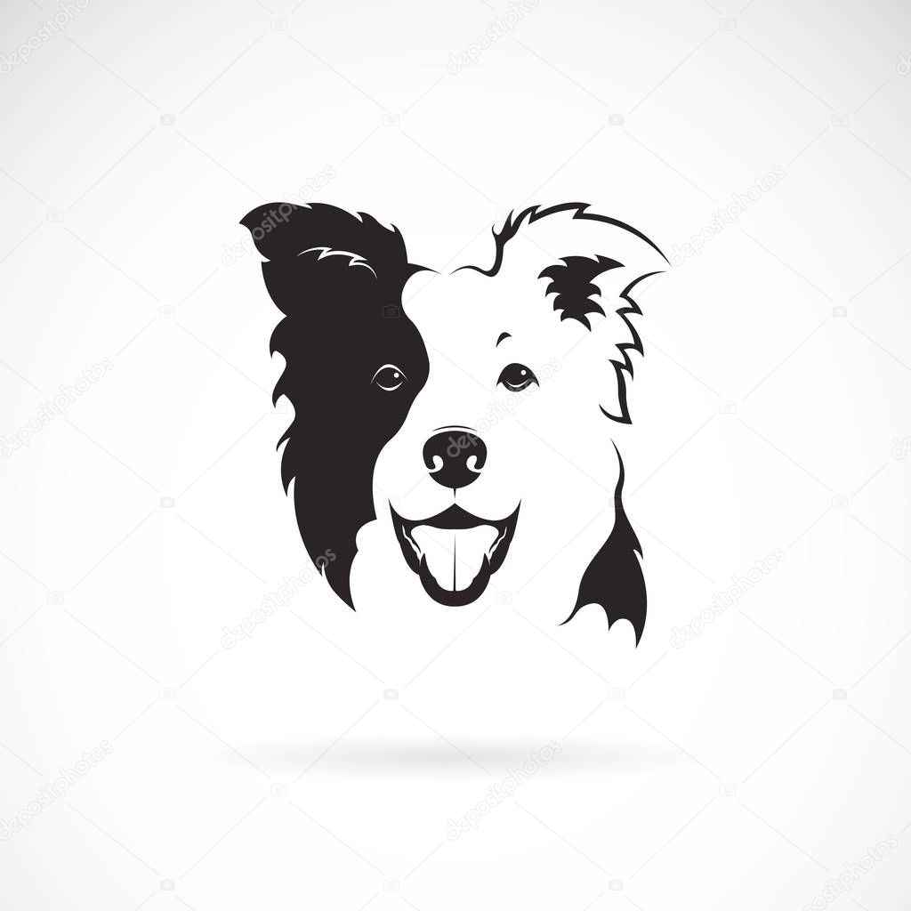 Vector of a border collie dog on white background. Pet. Animal. 