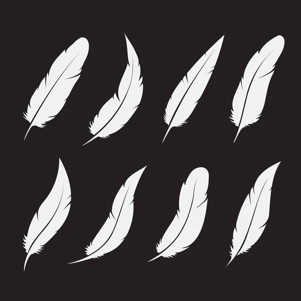 Grupo vectorial de plumas blancas sobre fondo blanco. Fácil editable — Archivo Imágenes Vectoriales