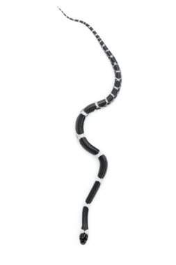 Beyaz arka planda küçük yılan (Lycodon laoensis) görüntüsü., R