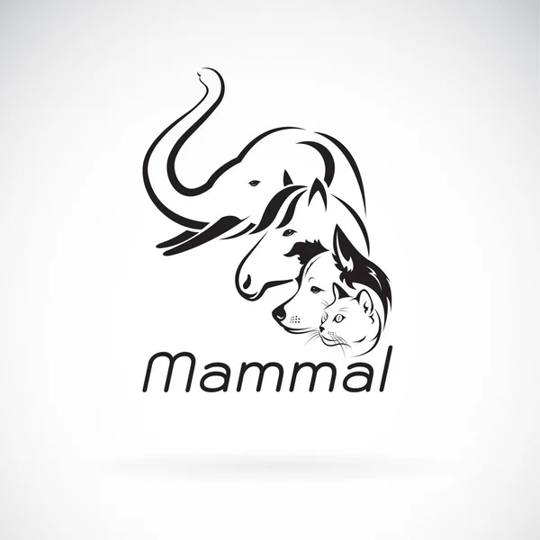 Vecteur de conception de groupe de mammifères sur fond blanc., Eléphant, Ho — Image vectorielle