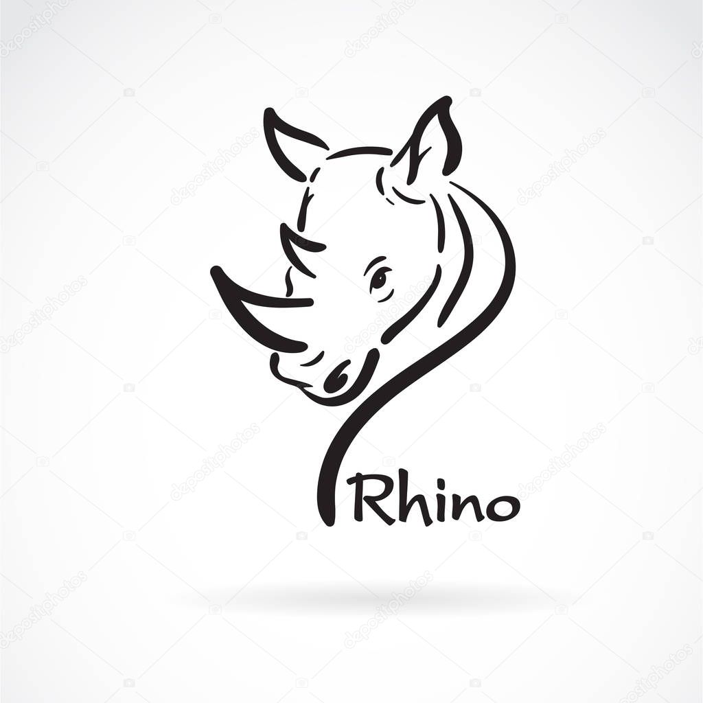 Vector of freehand rhino head painting on white background. Wild