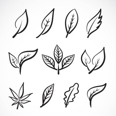 El çizilmiş yaprakların vektörü beyaz arka plan üzerinde izole edilmiştir. Grup 