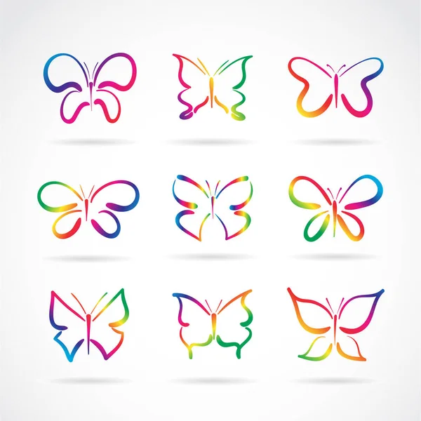 Grupo vectorial de mariposas dibujadas a mano sobre fondo blanco. Culo — Archivo Imágenes Vectoriales