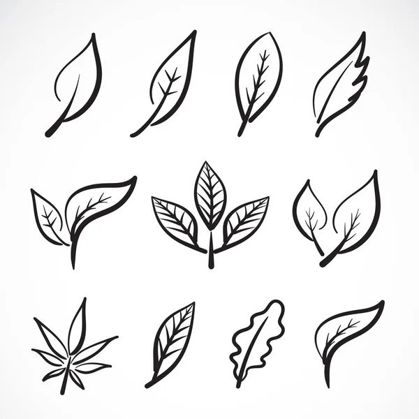 Vector of hand drawn leaves isolated on white background. group — Stock Vector