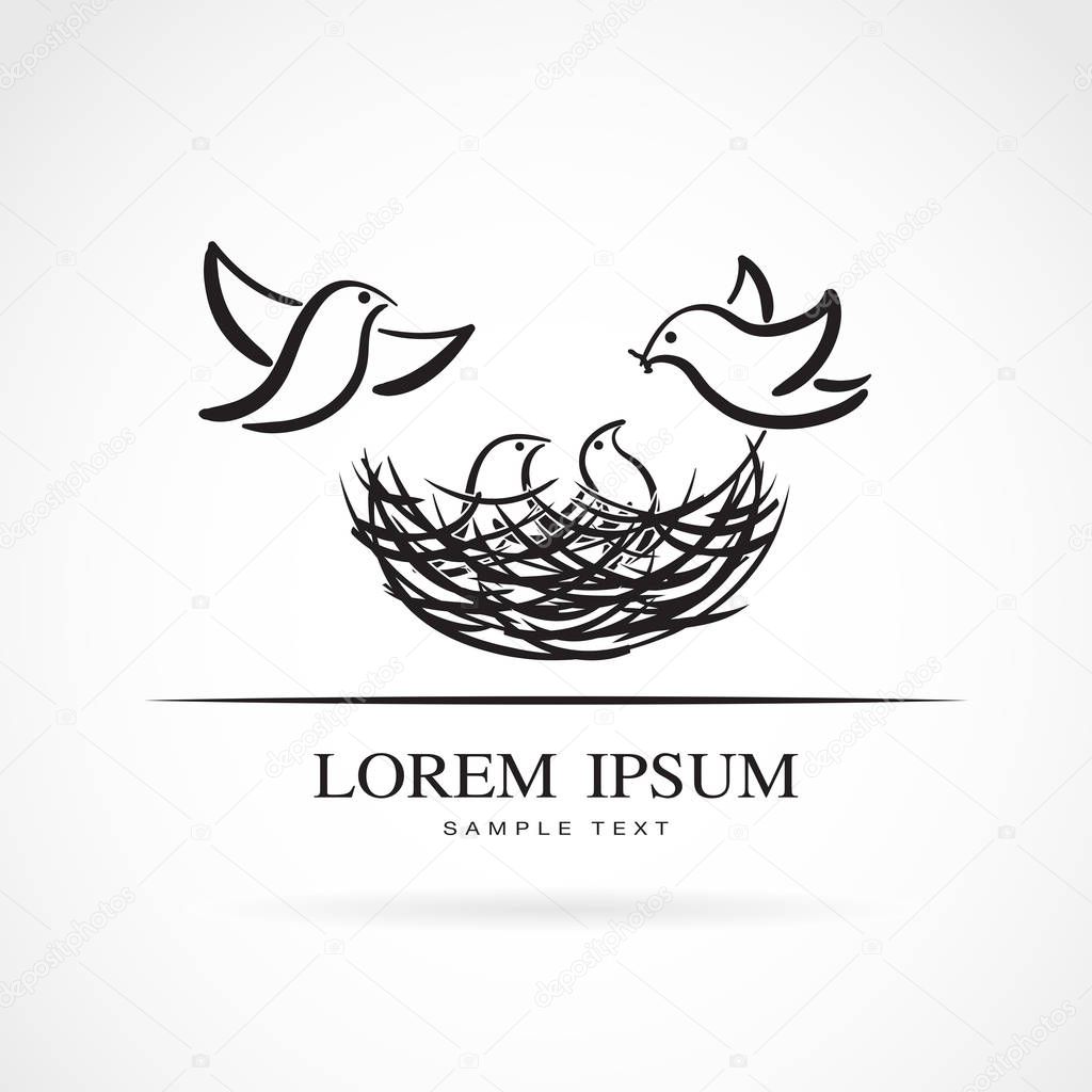 Vector of birds family in love and bird nest on white background. isolated on white background. Animal.