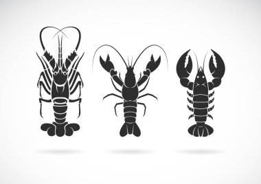 Group of lobster design on white background. Sea Animal. Seafood clipart