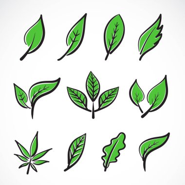 Vektör simgesini beyaz arka planda bırakır. Yaprak koleksiyonu.