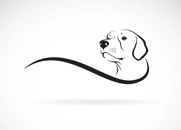 Vector van een hond hoofd (Labrador Retriever) op witte achtergrond., — Stockvector