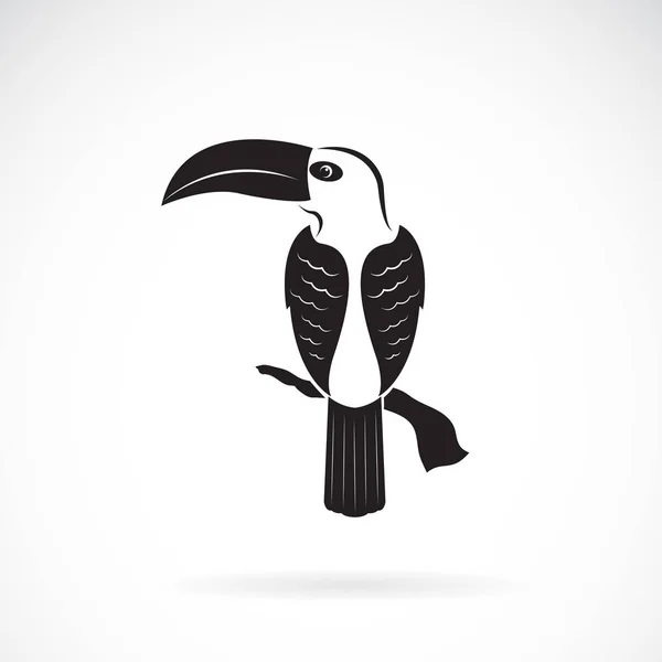 Vetor de desenho de pássaro tucano no fundo branco. Animais selvagens . — Vetor de Stock