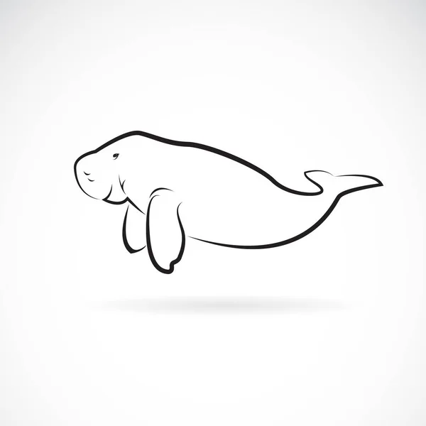 Vetor de design dugong no fundo branco. Animais Selvagens. Fácil. —  Vetores de Stock