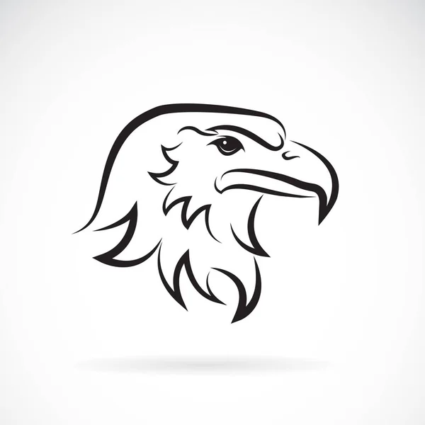 Vector de un diseño de cabeza de águila sobre fondo blanco. Pájaro . — Vector de stock