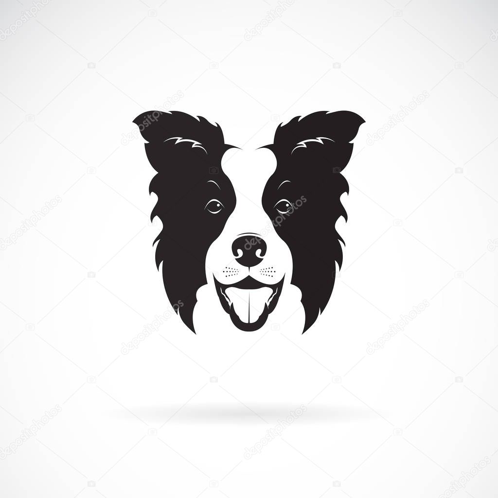 Vector of a border collie dog on white background. Pet. Animal. Dog logo or icon. Easy editable layered vector illustration.