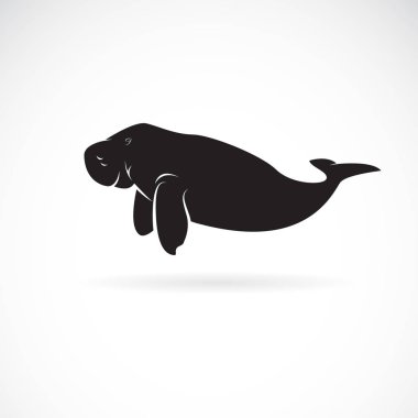 Beyaz arka plan üzerinde dugong tasarım Vektör. Vahşi Hayvanlar. Kolay 