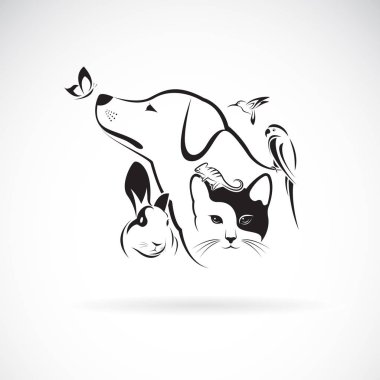 Bir grup evcil hayvan köpek, kedi, uğuldayan kuş, papağan, bukalemun.