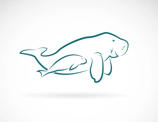 Vector van dugong moeder en dugong kind op witte achtergrond. — Stockvector