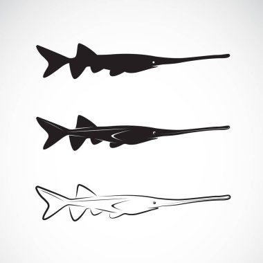 Download Paddlefish Free Vector Eps Cdr Ai Svg Vector Illustration Graphic Art
