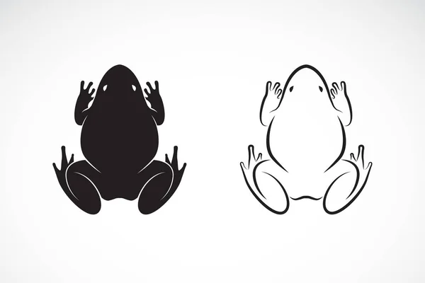 白い背景にカエルのデザインのベクトル。両生類。動物. — ストックベクタ