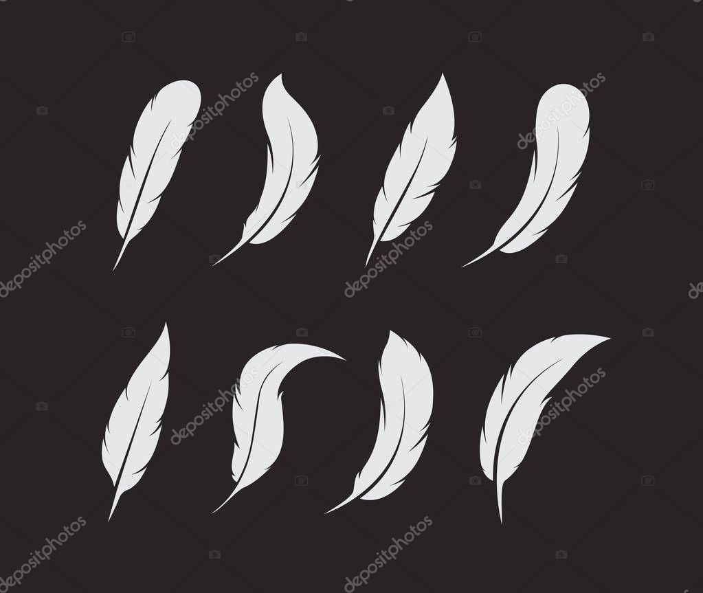 Vector group of white feather on black background. Icon.