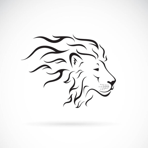 Вектор рисунка головы самца льва на белом фоне. Простая редактируемая векторная иллюстрация.