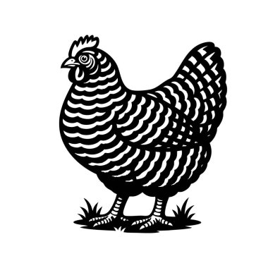Bir Çubuklu Kaya tavuğunun zarif ve minimalist siyah beyaz vektörü. Çiftlik hayvanları.