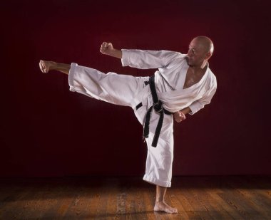 Dövüş sanatları ana sergi.