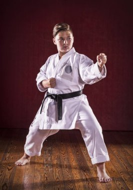 Siyah kuşak karate dövüş sanatları çocuk sergi.